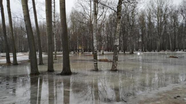 В Петербурге еще 15 парков и скверов откроют после просушки