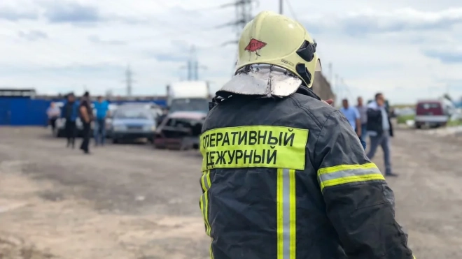 "Опель" и "Хендай" сгорели ночью на Пулковском шоссе