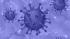 В Сколтехе дали критическую оценку американскому исследованию коронавируса 