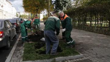 На благоустройство территорий МО Финляндский округ в 2021 году потратят около 68 млн. рублей