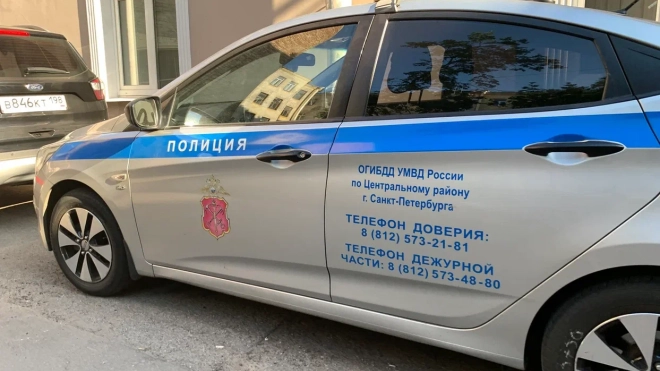 После драки со стрельбой на Суворовском проспекте четырех петербуржцев госпитализировали