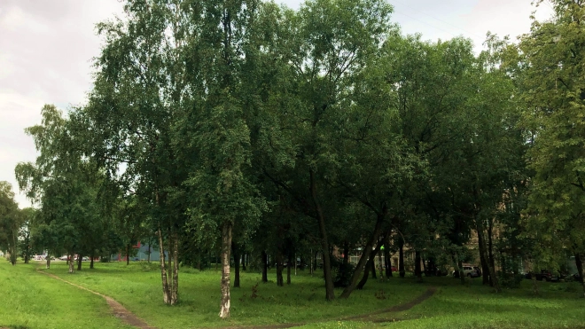 От проекта строительства энто-ремесленного комплекса у Пулковского парка могут отказаться