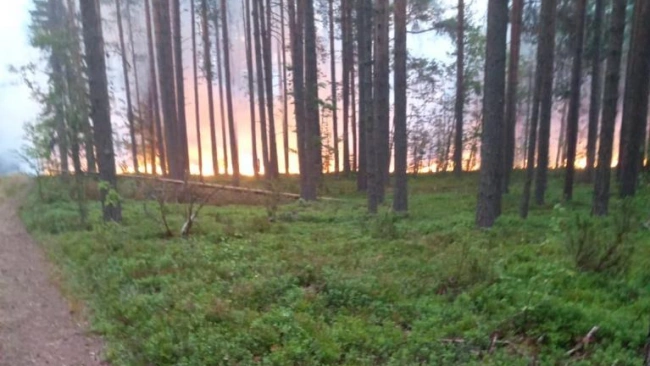 Парфенчиков: лесные пожары в Карелии планируется локализовать в субботу