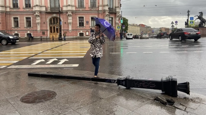 "Желтый" уровень погодной опасности объявлен в Петербурге из-за ветра