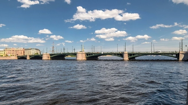Компания "Возрождение" отремонтирует Биржевой мост в Петербурге за 2,37 млрд рублей