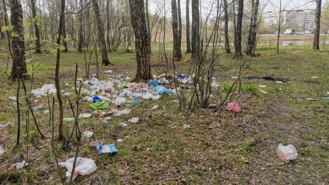 В Ржевском лесопарке обнаружили много неубранного мусора после майских праздников