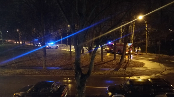 Женщина погибла под колесами поезда в Пушкине