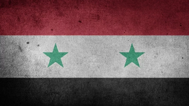 Сирийские военнослужащие при поддержке ВКС России уничтожили 338 террористов