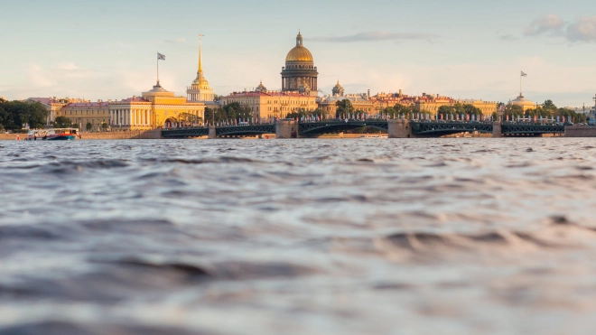 Петербург стал одним из лидеров по росту числа преступлений в этом году 