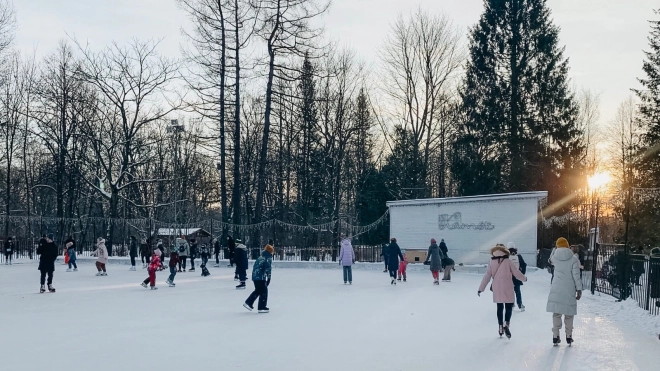 На Новый год в Елагин парк петербуржцы смогут попасть бесплатно