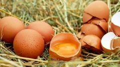 За неделю рост цен на куриные яйца в РФ ускорился до 4,6%