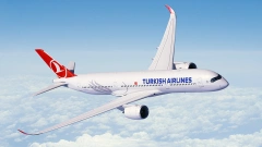 Turkish Airlines увеличит число рейсов из Пулково в Стамбул до 21 в неделю