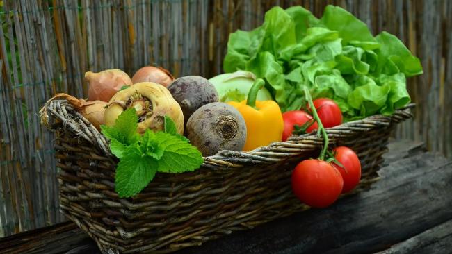 Импортеру овощей и фруктов в Петербурге выплатят более 15 миллионов рублей долга