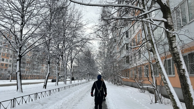 В Петербурге 22 января повышение температуры нивелируют ветер и снег