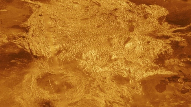 Ученые выяснили, что в облаках Венеры может существовать жизнь 