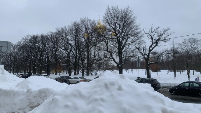 В Петербурге направят 135 млн рублей на вывоз снега из семи районов