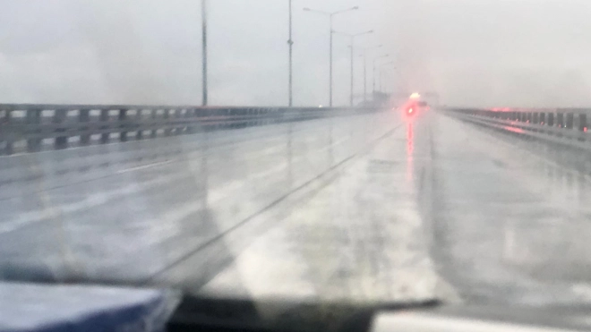 В Росприроднадзоре объяснили, почему на дорогах Петербурга после дождя появилась белая пена