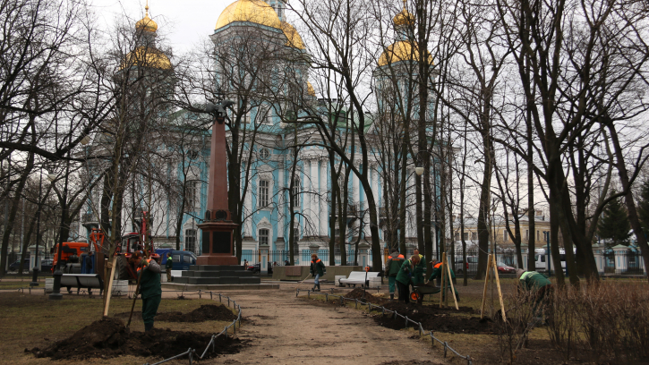 Северную столицу украсят молодые деревья Северную столицу украсят молодые деревья
