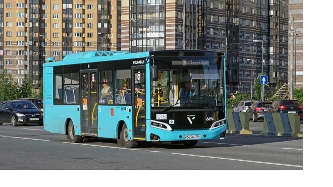 В октябре 3 автобусных маршрута усилят в Петербурге