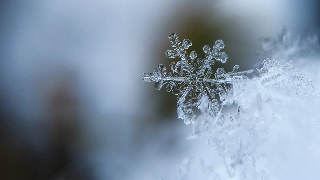 В Ленобласти 7 декабря ожидается до -14 градусов