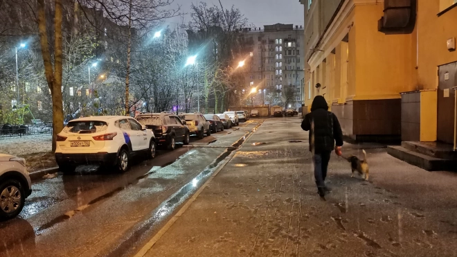 Петербуржцы делятся фотографиями снега в городе