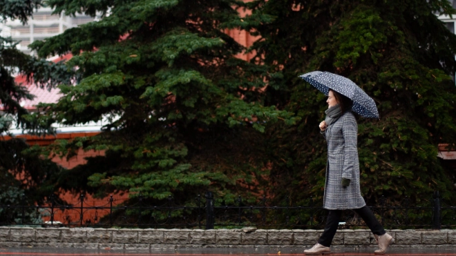 Дождливая и ветреная погода ожидается в Петербурге на будущей неделе