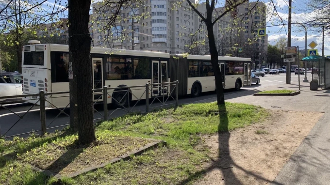 Трассы трех автобусов изменены в результате прорыва трубы на Бухарестской улице