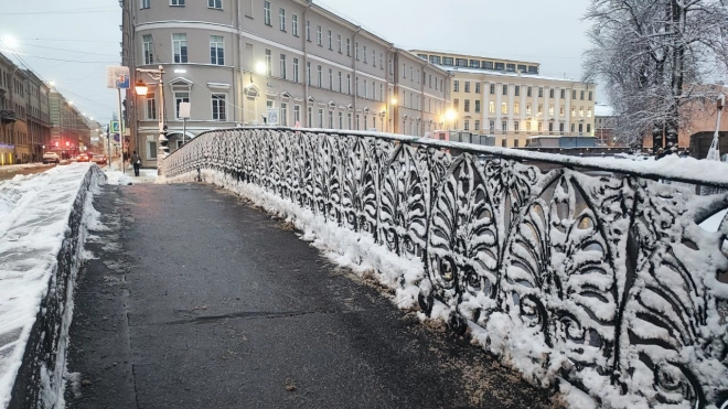 Дополнительная  бригада для уборки мостов сформирована в Петербурге