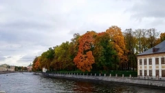 В среду в Петербурге потеплеет до +13 градусов 