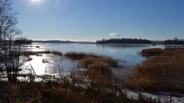 Петербург потратит 113,1 млн рублей на расчистку водных ...