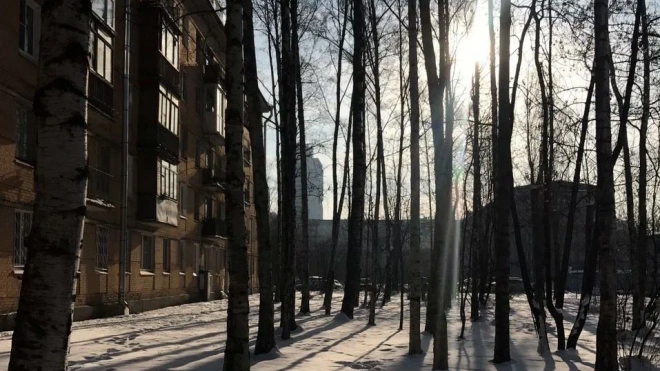 Петербуржцев предупредили об усилении ветра 8 января