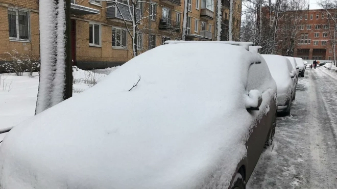 Петербуржцам предложили вознаграждение за очистку дорог и авто от снега
