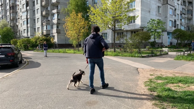 Петербург 1 сентября окажется в холодном тылу циклона