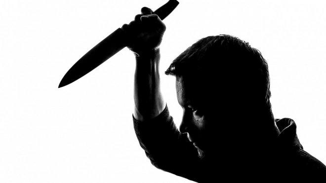 Бывший супруг напал с ножом на женщину в Волосовском районе