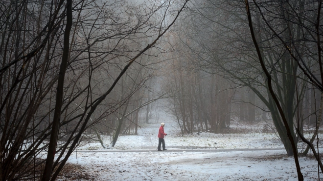 В Ленобласти 13 января ожидается плюсовая температура