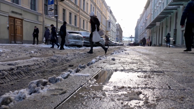 В Петербурге 5 ноября ожидается снег, переходящий в дождь