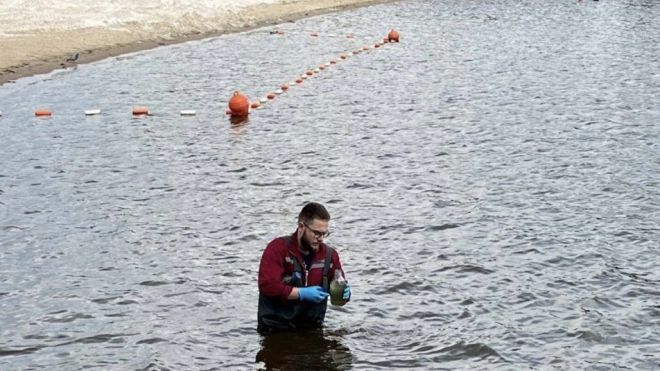 В Петербурге не осталось пригодных для купания водоемов