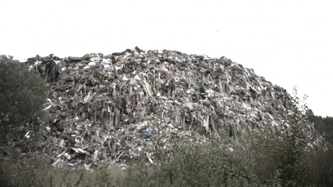 В Сосновом Бору рекультивировали полигон отходов на девяти гектарах