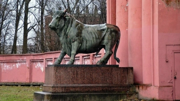 Стали известны сроки реставрации скульптуры быков ...