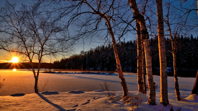 В Ленобласти  26 декабря обещают снегопад, солнце и до -27 градусов мороза
