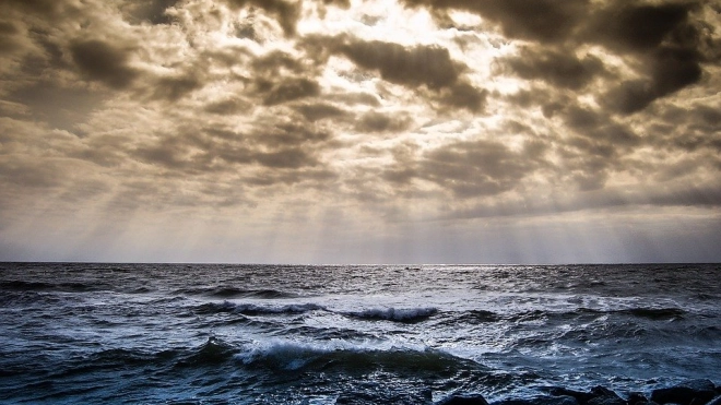 Финские ученые рассказали о состоянии Балтийского моря