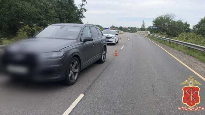 В Киришском районе Ленобласти водительница Audi сбила насмерть 13-летнюю девочку