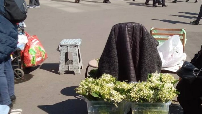 Петербуржцев призвали не покупать и не собирать первоцветы