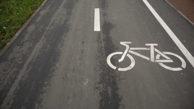 До конца ноября на улице Коллонтай обустроят новую велодорожку