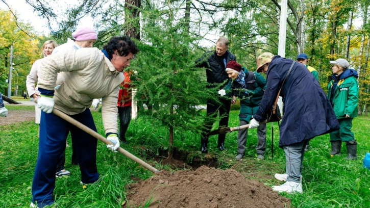 Петербуржцам предложили лично посадить деревья в 32 садах, парках и скверах 
