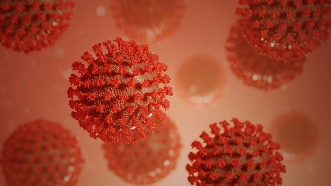 Ученые описали эволюцию коронавируса 