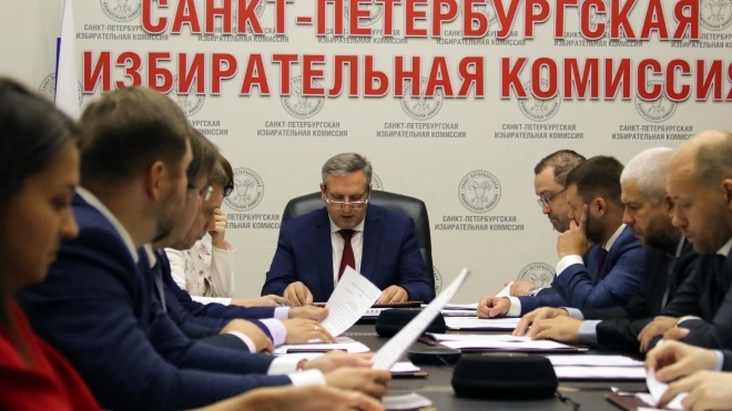 Мейксин рассказал, как пройдет Единый день голосования в Петербурге