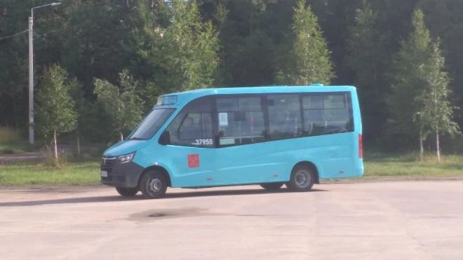 Жители Первомайского сельского поселения возмутились заменой вместительных автобусов на маршрутки