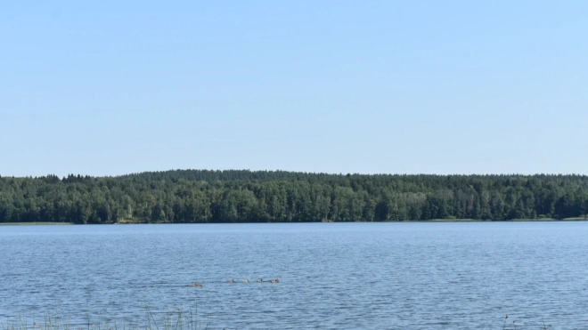 Содержание радона и ртути может вырасти из-за разломов в Ладожском озере
