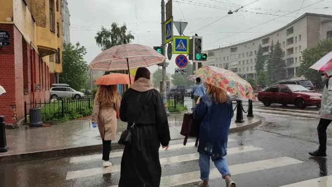 Понедельник в Петербурге будет дождливым и ветреным 